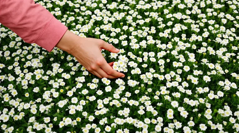 Les anciens ne semaient jamais de gazon : ce qu&rsquo;ils plantaient à la place métamorphose les jardins