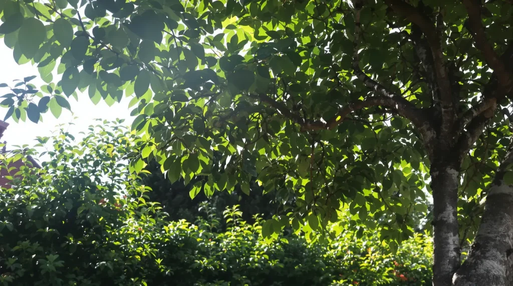 Méfiez-vous : cet arbre fruitier si odorant peut attirer les serpents chez vous